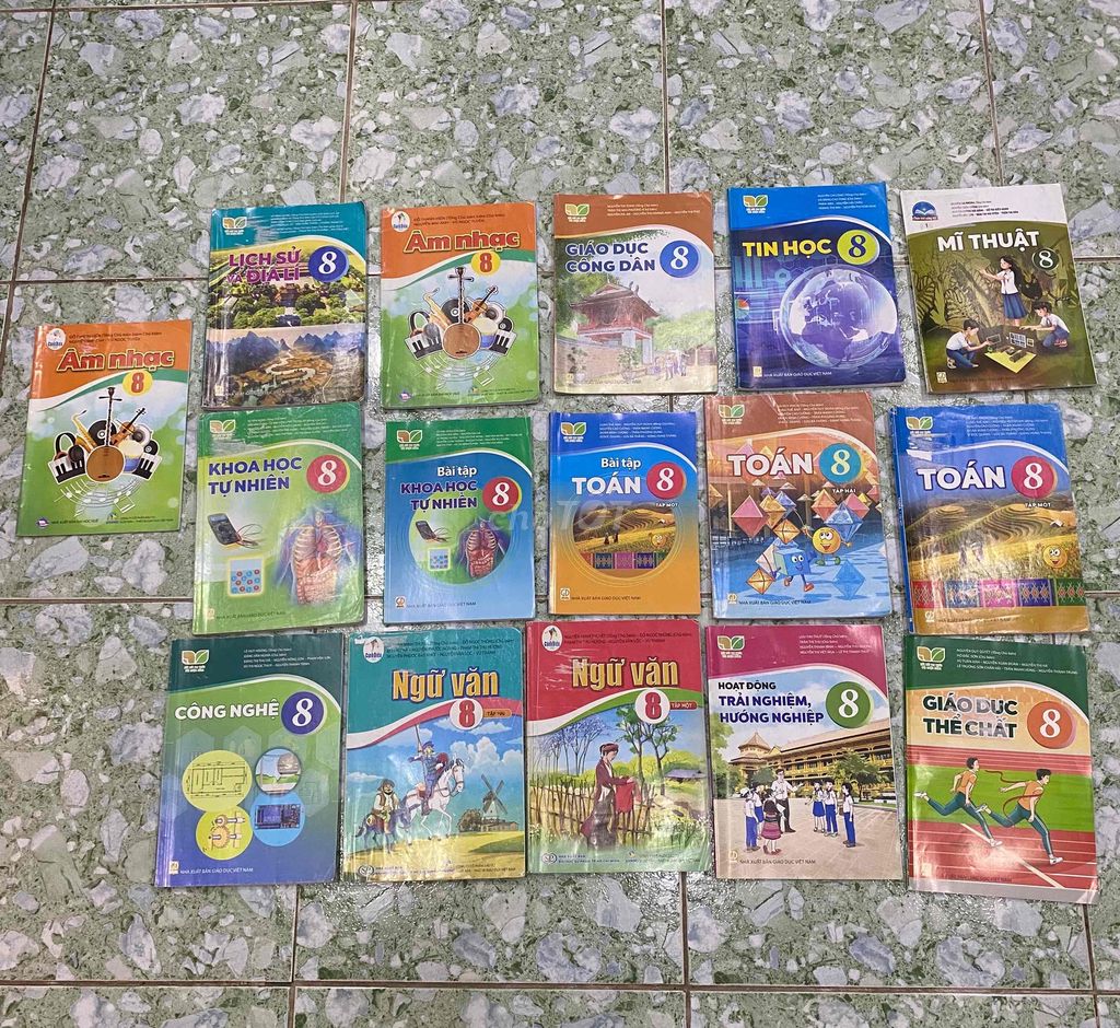 Sách Giáo khoa lớp 8 - giá tốt